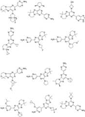 Figure FDA0002486010530000171