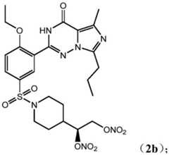 Figure BDA0003088137000000452