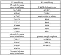 Figure imgf000028_0001
