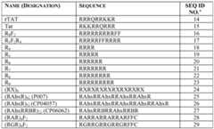 Figure imgf000086_0001