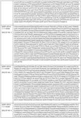 Figure imgf000015_0001