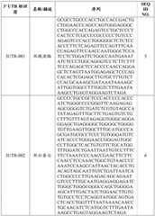 Figure BDA0002572923940000621