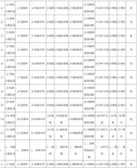 Figure BDA0002934280320000061