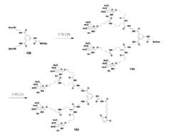 Figure 106103567-A0304-12-0217-206