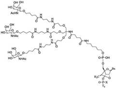 Figure BDA0003357312860003111