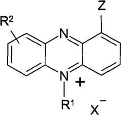 Figure BPA00001263293900304