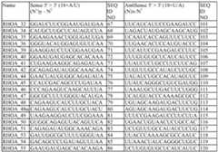 Figure imgf000125_0002