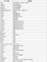 Figure BDA0001804823870000191