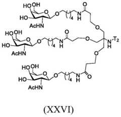 Figure BDA0003357312860003525