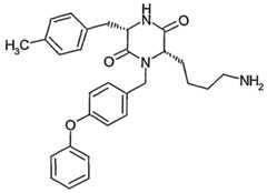 Figure imgf000063_0001
