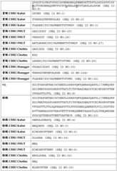 Figure BDA0002328692870000361