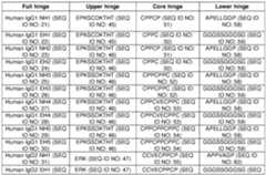 Figure imgf000041_0001