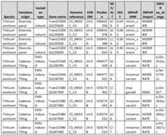 Figure imgf000032_0001