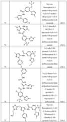 Figure imgf000029_0001