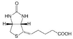 Figure imgf000065_0001