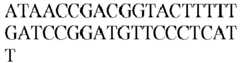 Figure imgb0570
