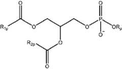 Figure imgf000059_0001