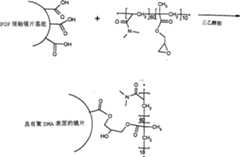 Figure A0080781500401