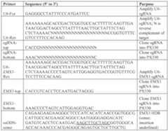 Figure imgf000244_0001