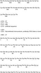 Figure IDA0004177795620000791