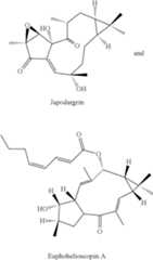 Figure US10722484-20200728-C00051