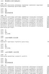 Figure IDA0002536600790000271