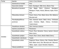 Figure imgf000096_0001