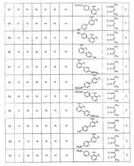 Figure A20081018956900651