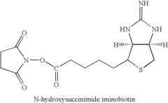 Figure US08846053-20140930-C00061