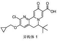 Figure 331090DEST_PATH_IMAGE259