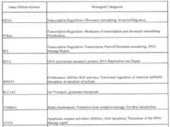 Figure imgf000046_0001