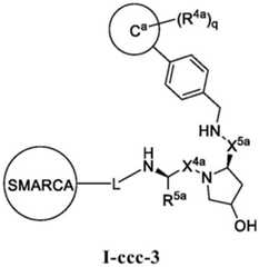 Figure BDA0003783300830001261