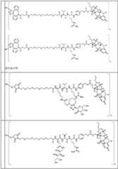 Figure BDA0002889616220001501