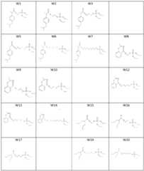 Figure imgf000102_0001