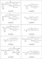 Figure BDA0003154168970000981