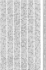 Figure IPA0000293710130000181