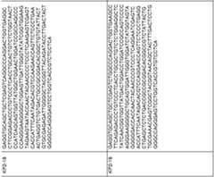 Figure imgf000086_0002