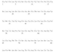 Figure 108123466-A0305-02-0802-865