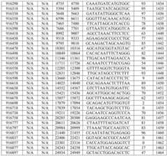 Figure BDA0002976854330001381