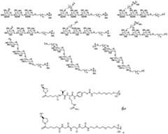 Figure BDA0003746740800000401