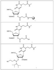 Figure imgf000046_0001