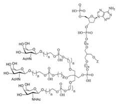 Figure 2023012548000153