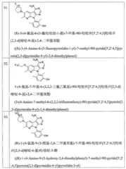 Figure 113105161-A0202-12-0051-89