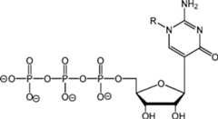 Figure AU2019202835A1_D0318