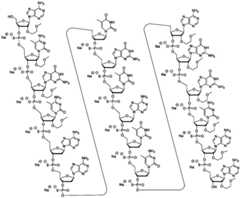 Figure FDA0003319162440000181