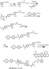 Figure BDA0003670511740004591