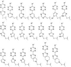 Figure imgf000071_0002