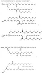 Figure imgf000075_0001