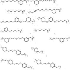 Figure imgf000348_0002