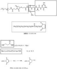 Figure BDA0003431009780000671